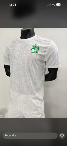 Maillot Côte d'Ivoire Puma