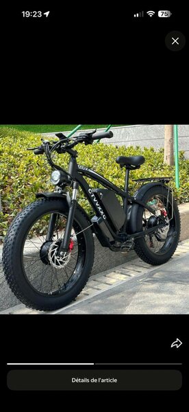 Vélo électrique tout-terrain puissant