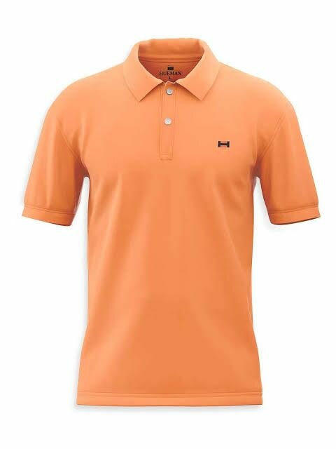 Men polo t shirt