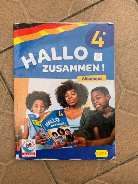 Manuel d'Allemand 'Hallo Zusammen!'