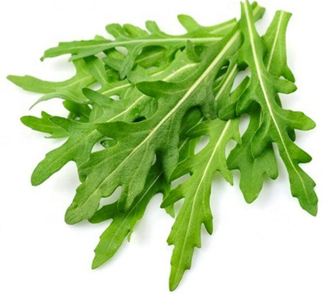 Rocket Salad Seeds (Arugula)