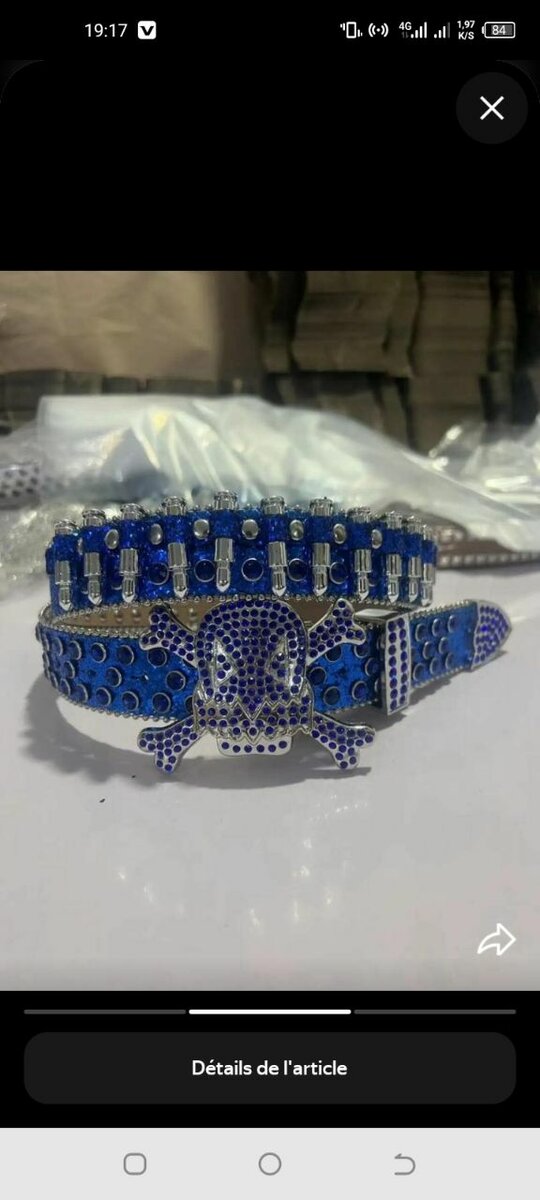 Collier pour Chiens Crâne