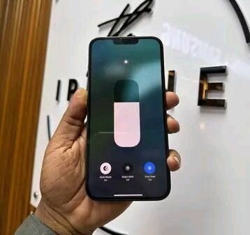 iPhone Pro Max 256GB Vert