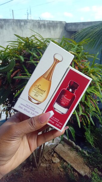 Ensemble de parfums élégants