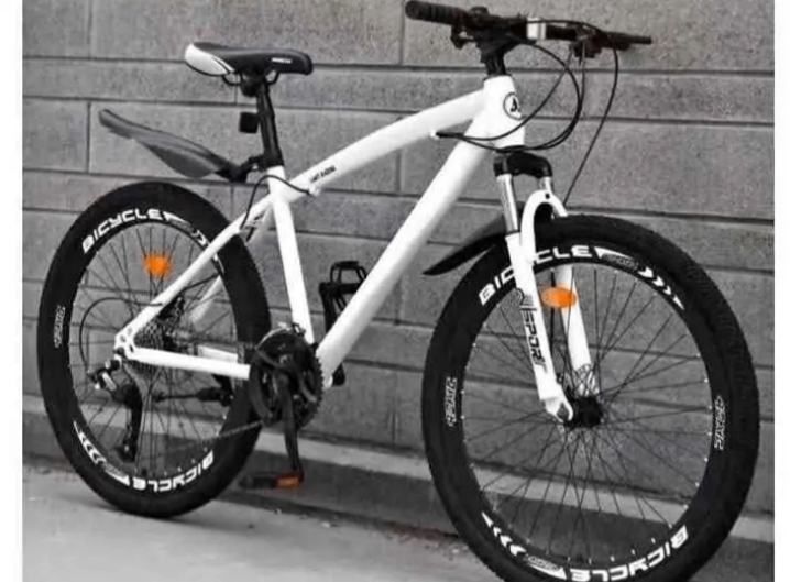 Vélo de Montagne Léger