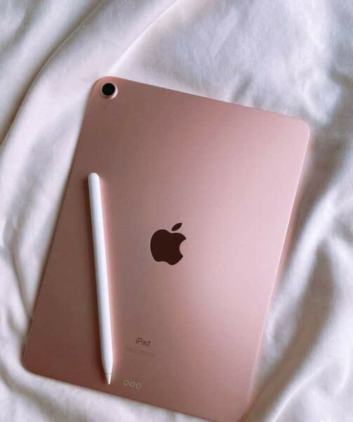 Apple iPad rose