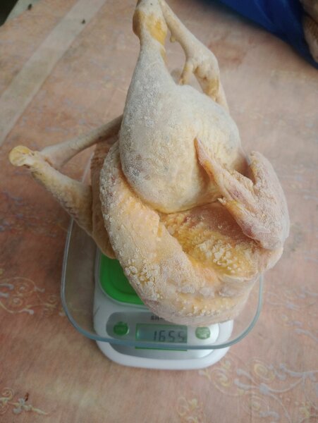 Poulet Africain