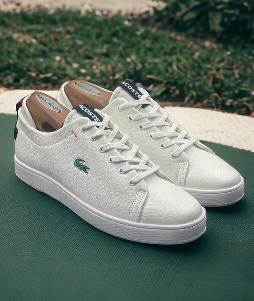 Lacoste shoe ( white )