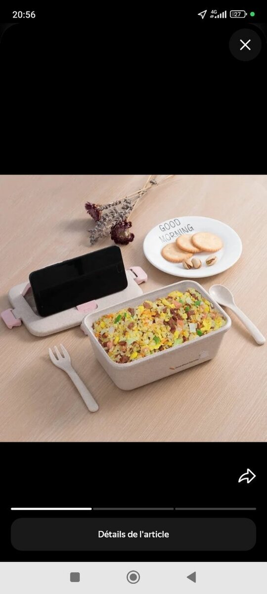 Boîte à lunch étanche avec support