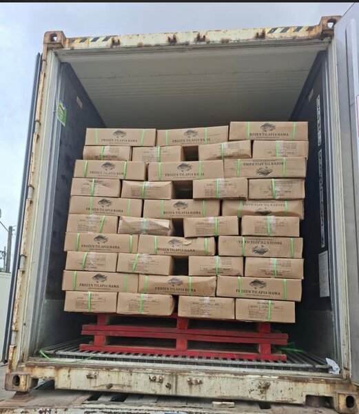 Poissons Frais et Tilapia