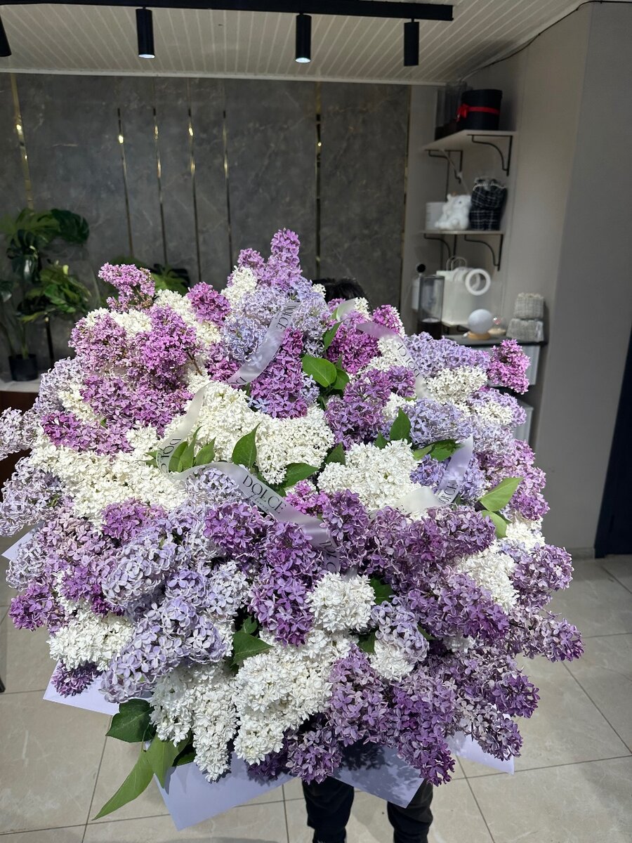 Апрельская Сирень