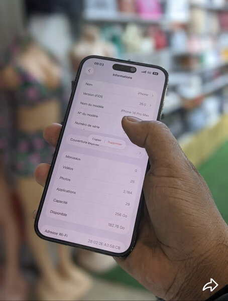 iPhone 14 Pro Max 256 Go