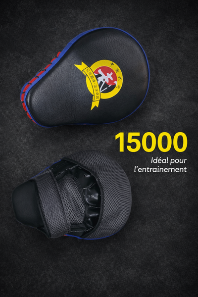 Paos de boxe professionnels