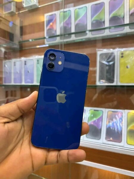 iPhone Bleu - Écran Impeccable