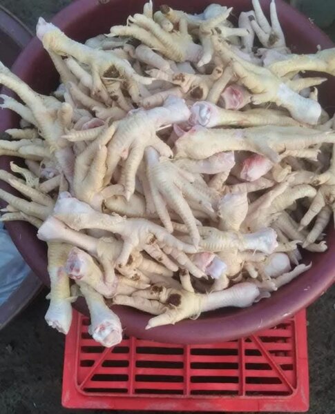Pattes de Poulet Fraîches