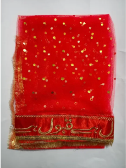 Qabool Hai Traditional Embroidery Bridal Dubata Coin Net Fancy Dress Qubool Hai Dupatta without Name Shadi Mehndi Wedding Gift Nikah Event Nikkah Dupatta Accessories with Fine Tailored Stitch Lace Dupata For Girls Women