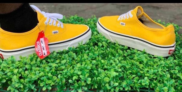Classic Vans