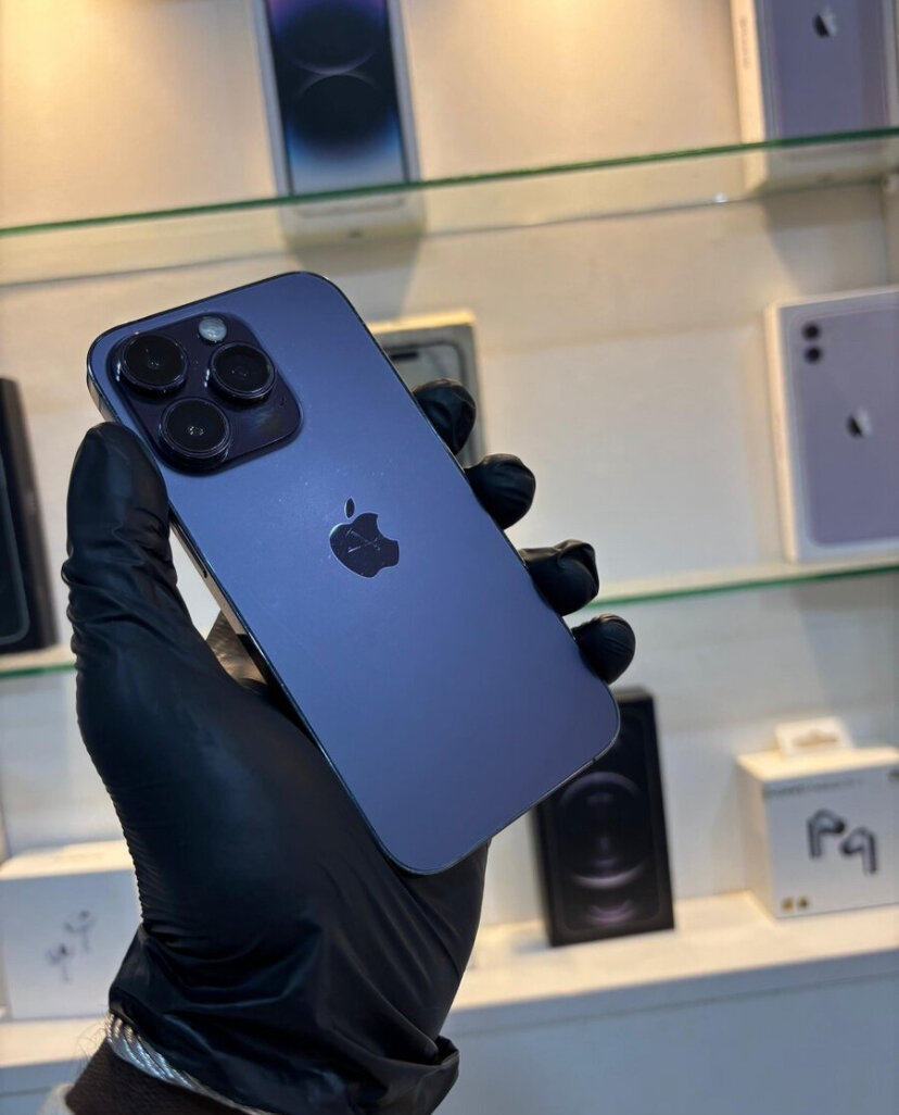 iPhone Pro Max 256 Go