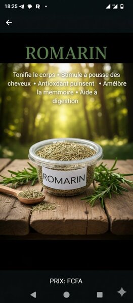 Romarin Séché Naturel