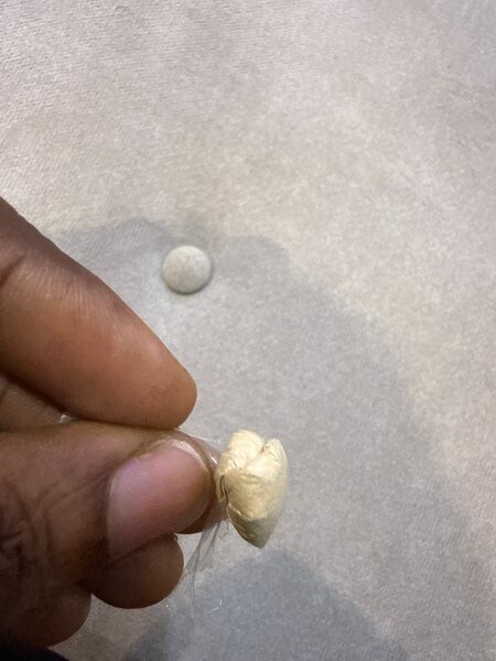 Parfum floral pour femme