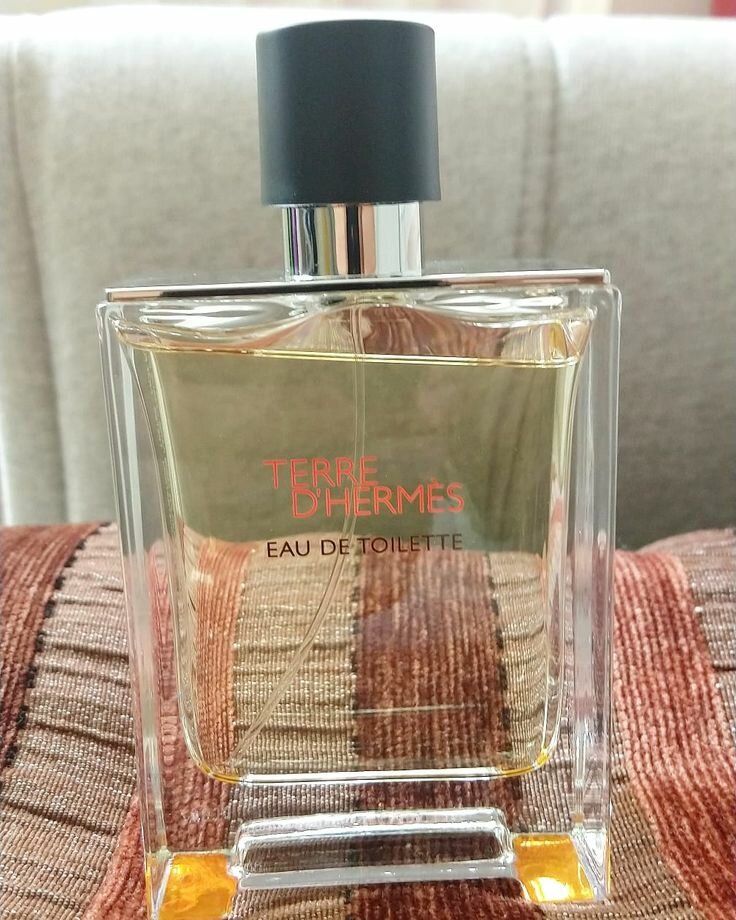 Eau de Toilette pour Homme Terre