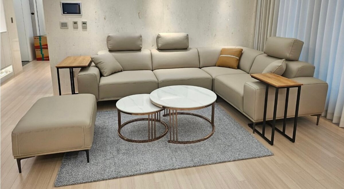 Canapé d'angle moderne en cuir