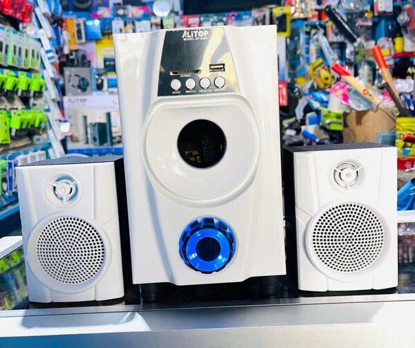 Système Audio ALTOP Puissant