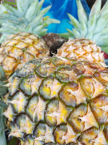 Pineapple