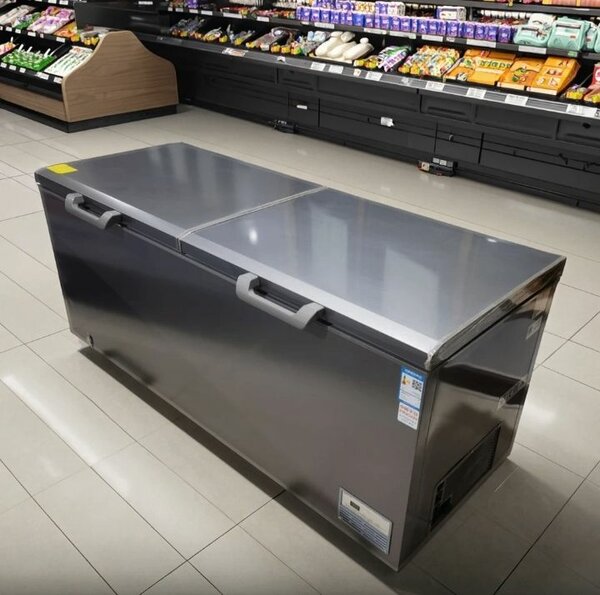 Congélateur Coffre Commercial Grande Capacité