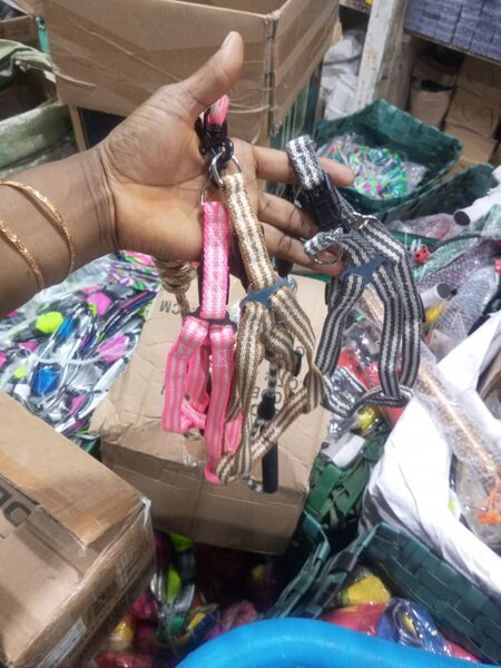 Laisse pour chiens colorée