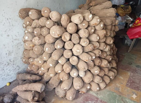 Igname kponan de qualité supér