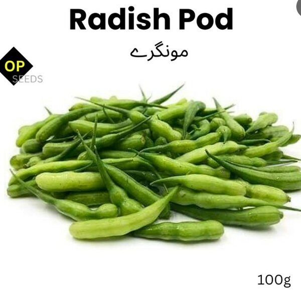 Radish Pods (Mongray) – 100g