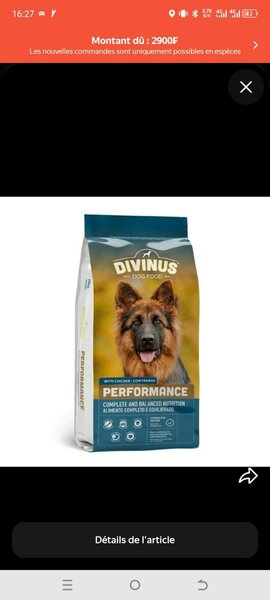 DIVINUS PERFORMANCE 20KG