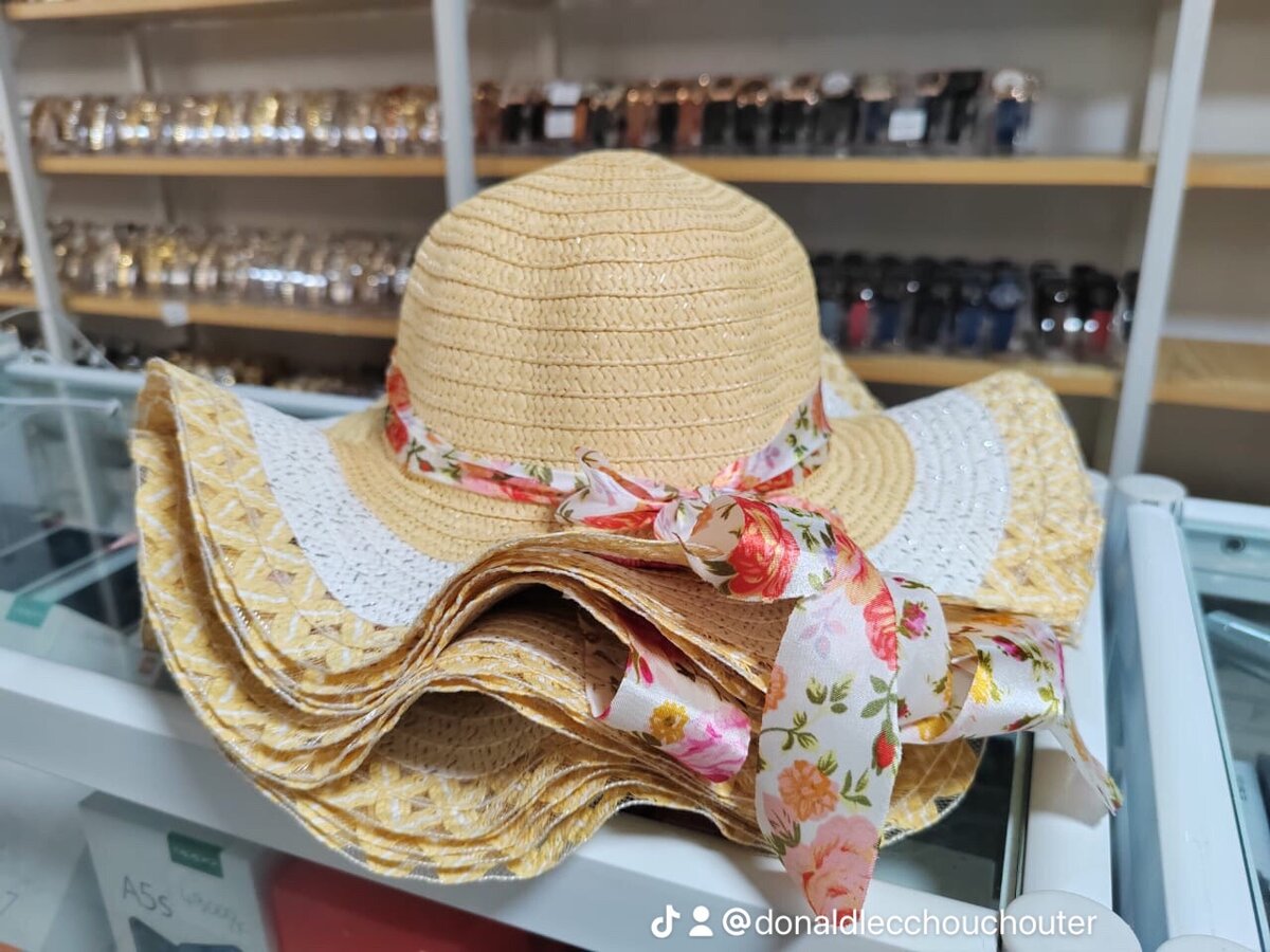 Chapeau de Soleil Élégant Femme