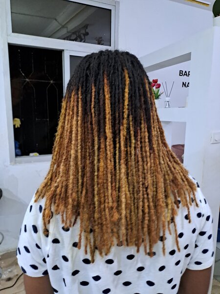 Afrotismey dreadlocks