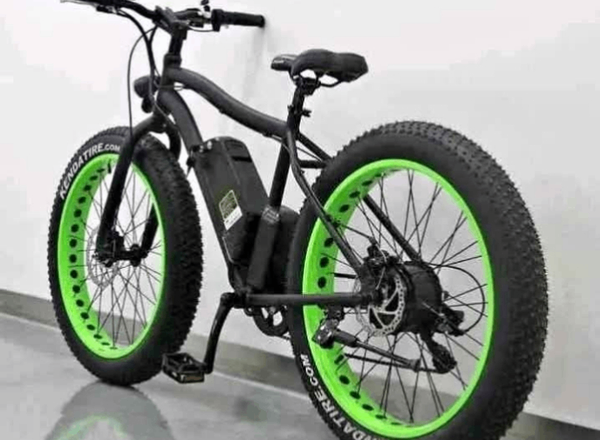 Vélo électrique Fat Bike