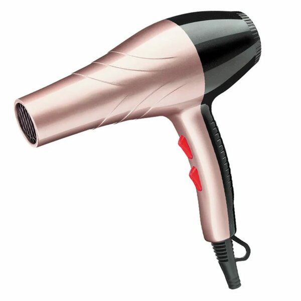 Sèche-cheveux professionnel