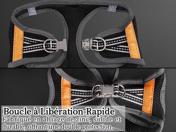 Harnais pour Chat Réglable