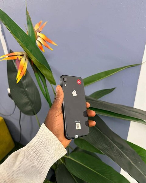 iPhone XR