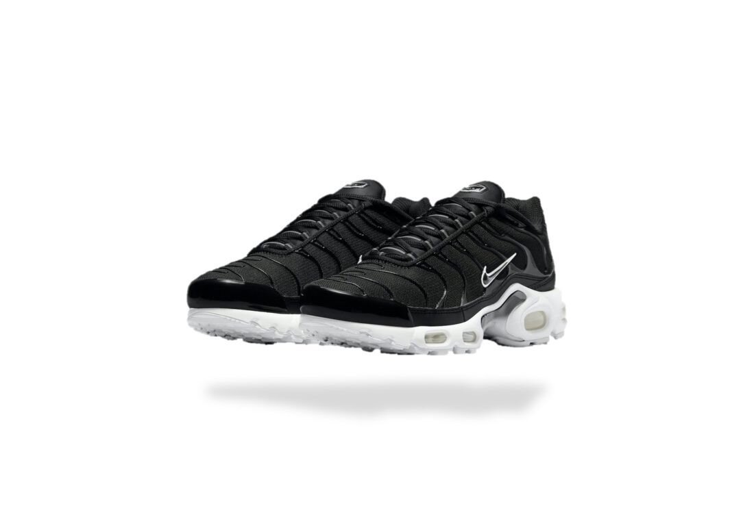 Baskets Air Max TN noires