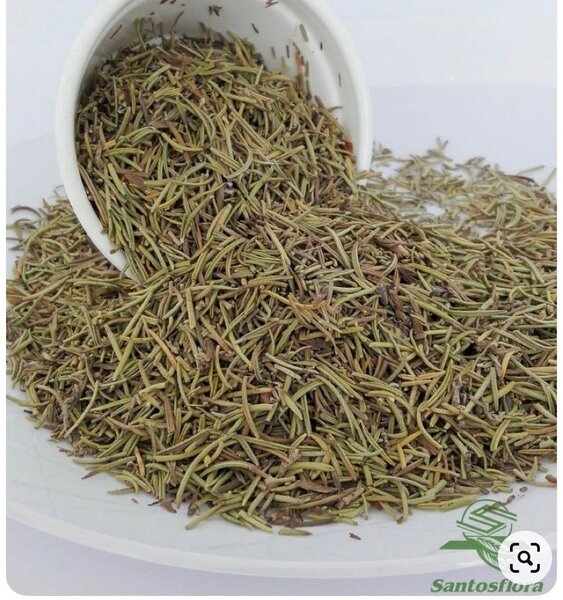 Organic Rosemary