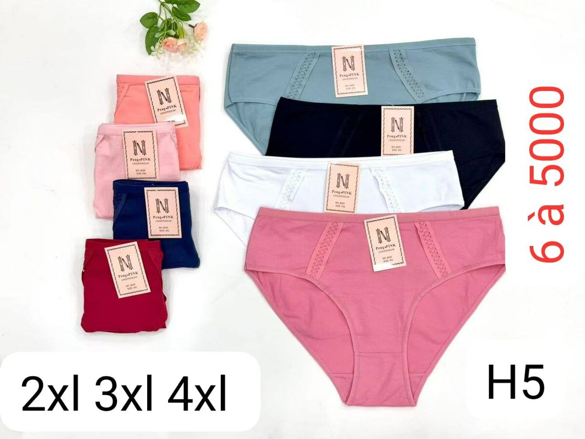 Culottes Taille Plus Confort