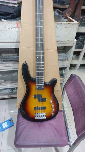 Electric Bass Guitar
