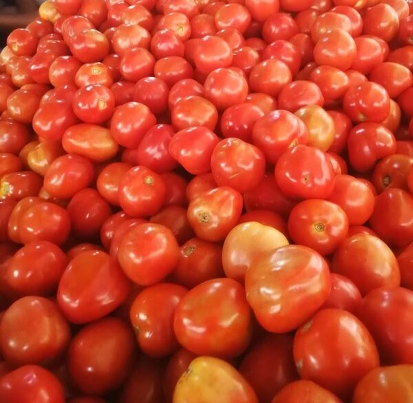 Tomates fraîches savoureuses