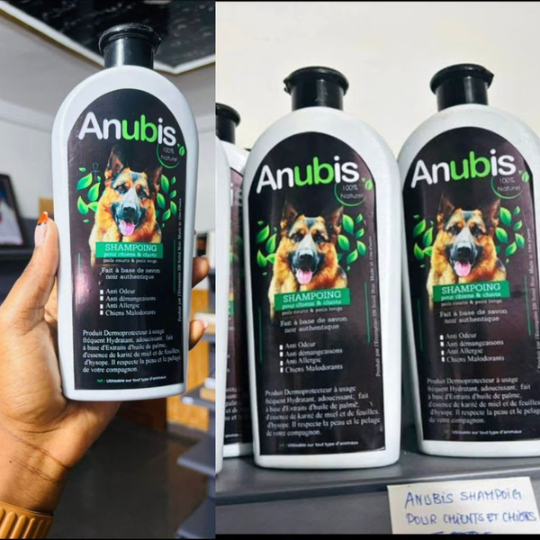Shampooing Anubis Chiens