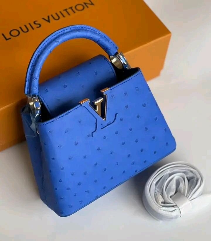 Sac à main Louis Vuitton