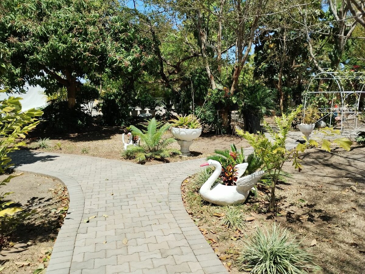 Event Garden Rent near ibex hill