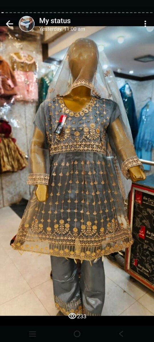 Ladies fancy suit