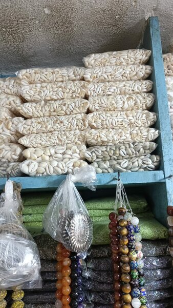 Coquillages de Décoration Exotique