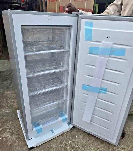 Congélateur vertical argenté